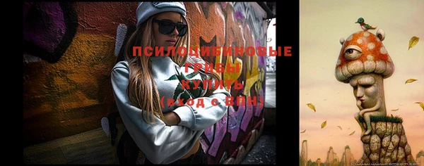 герыч Бугульма